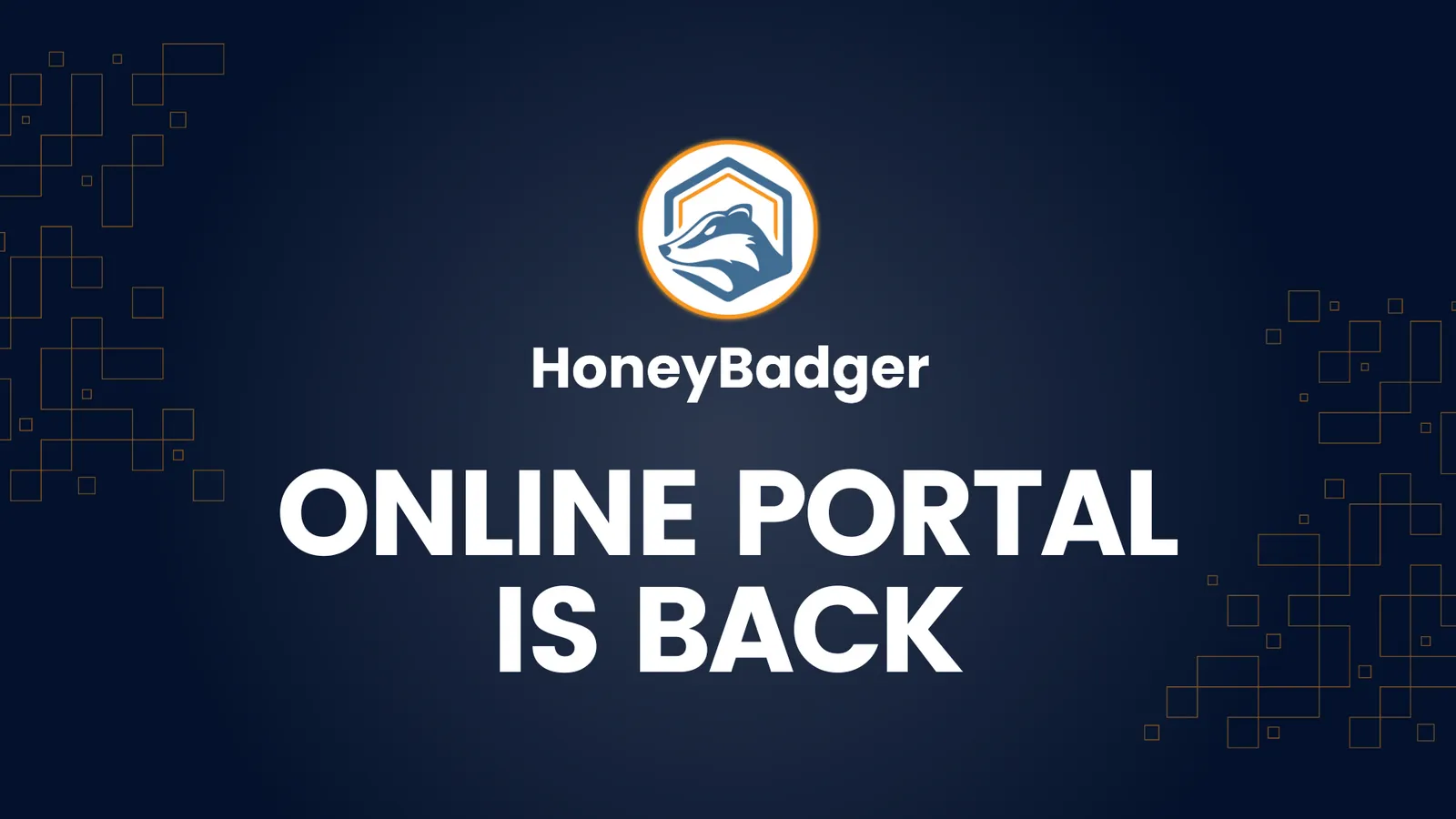 HoneyBadger's Online Portal for Cryptocurrency Transactions Is Back Up and Running