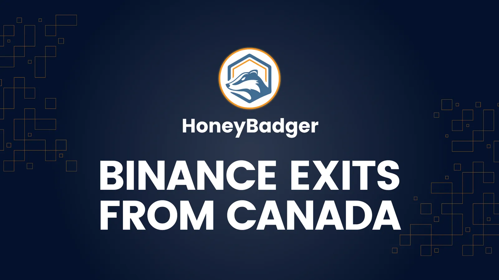 HoneyBadger Steps Up as Binance Steps Down