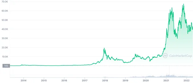 Bitcoin’s price chart since 2013. (Source: coinmarketcap.com).