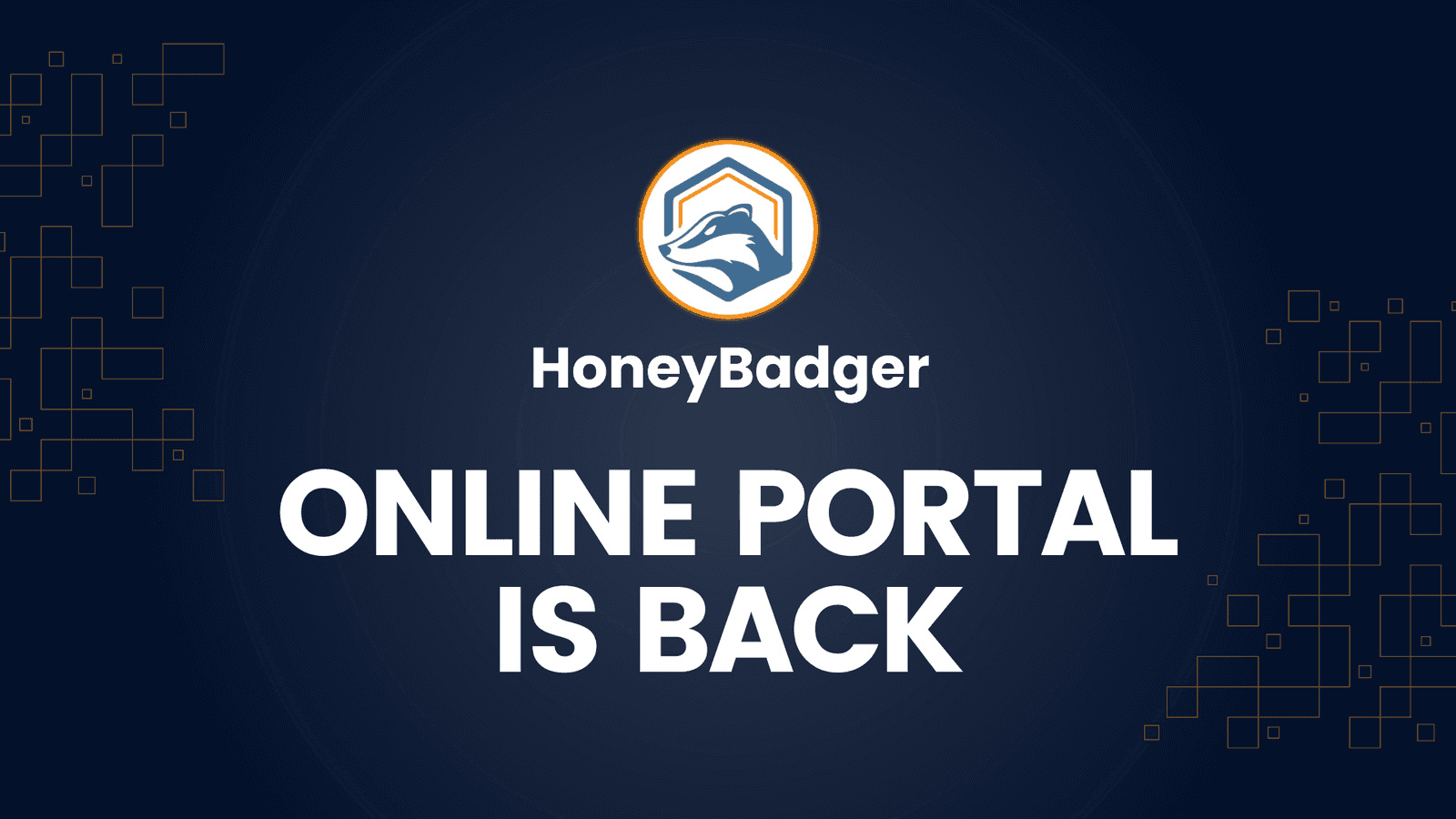 HoneyBadger's Online Portal for Cryptocurrency Transactions Is Back Up and Running